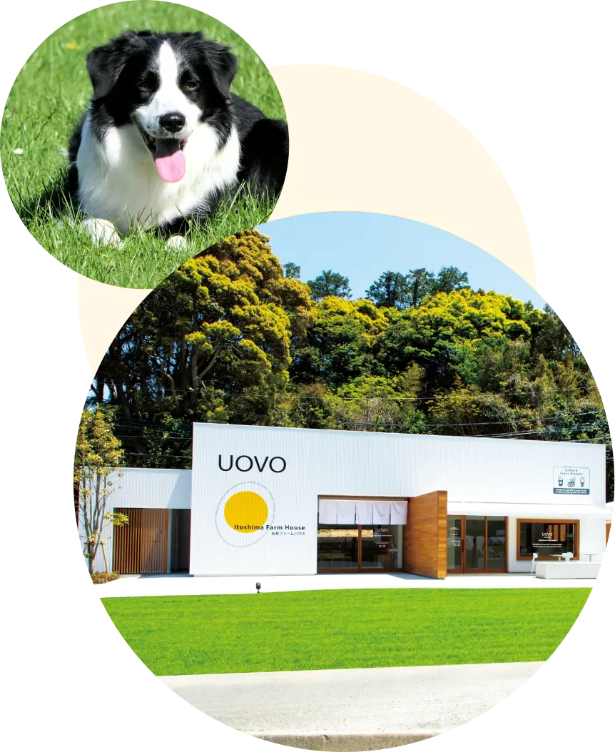 トラッチャのコンセプトイメージ画像