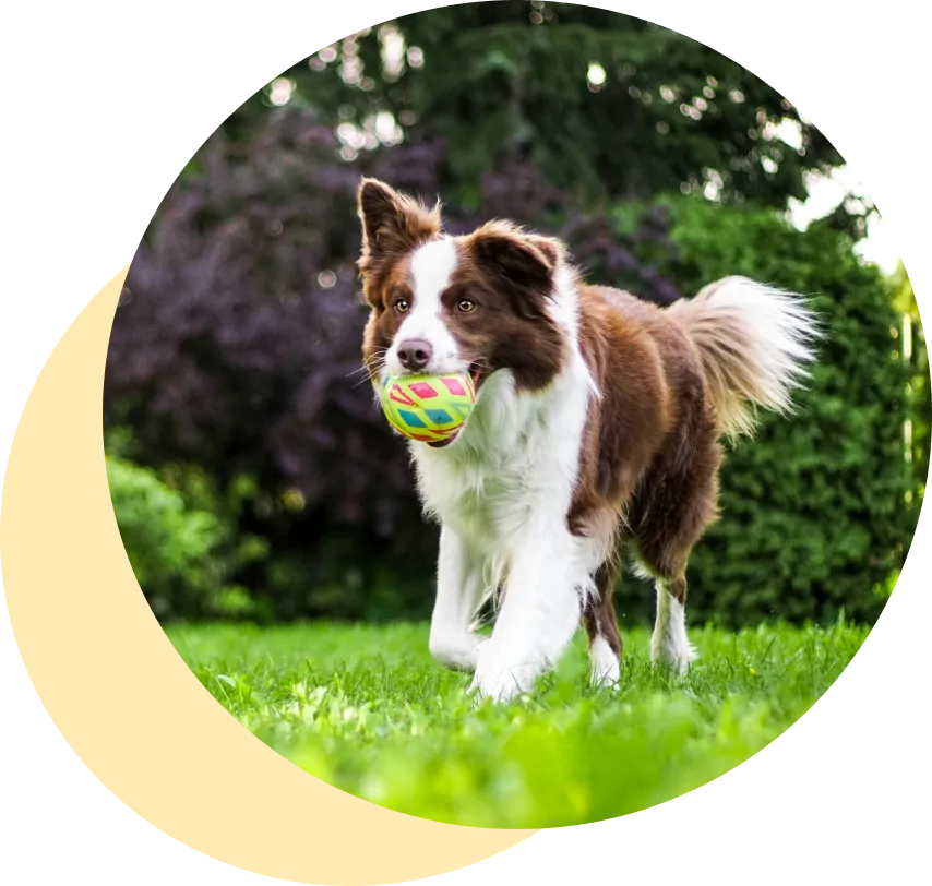 トラッチャのコンセプトイメージ画像