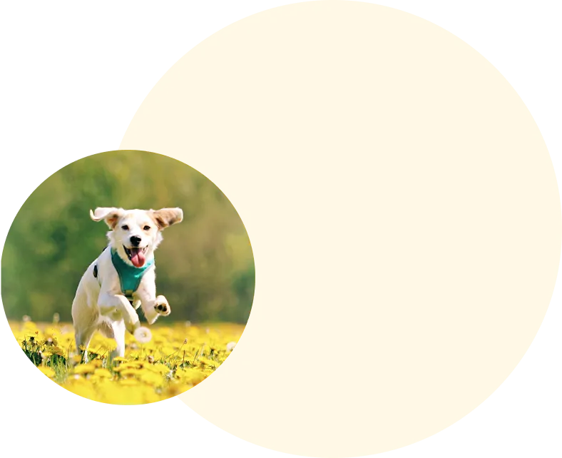 トラッチャのコンセプトイメージ画像