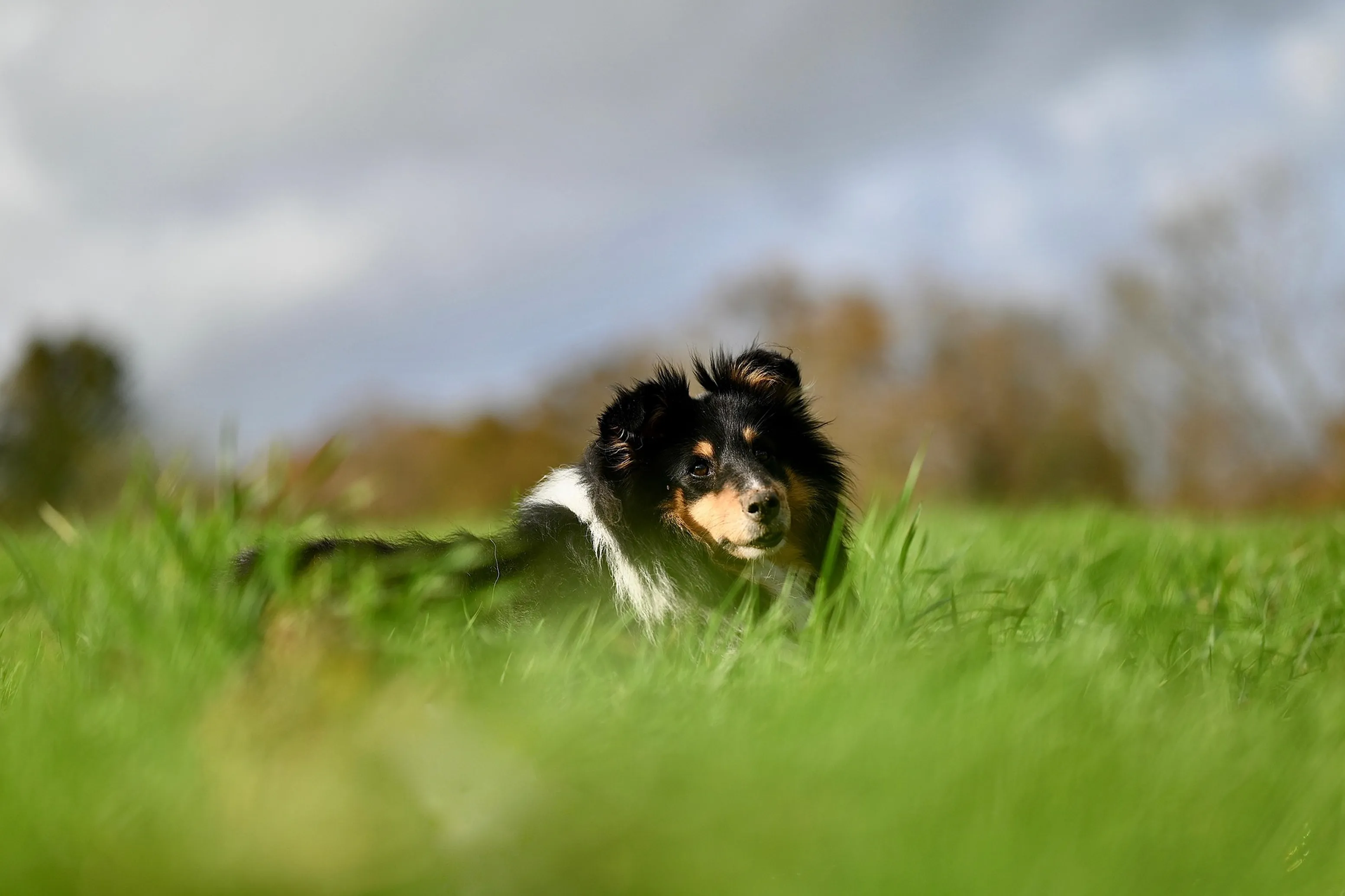 キービジュアル